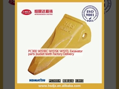 PC300 14151RC 14151SK 14151TL 발굴기 부품 칸 치아 공장 배달